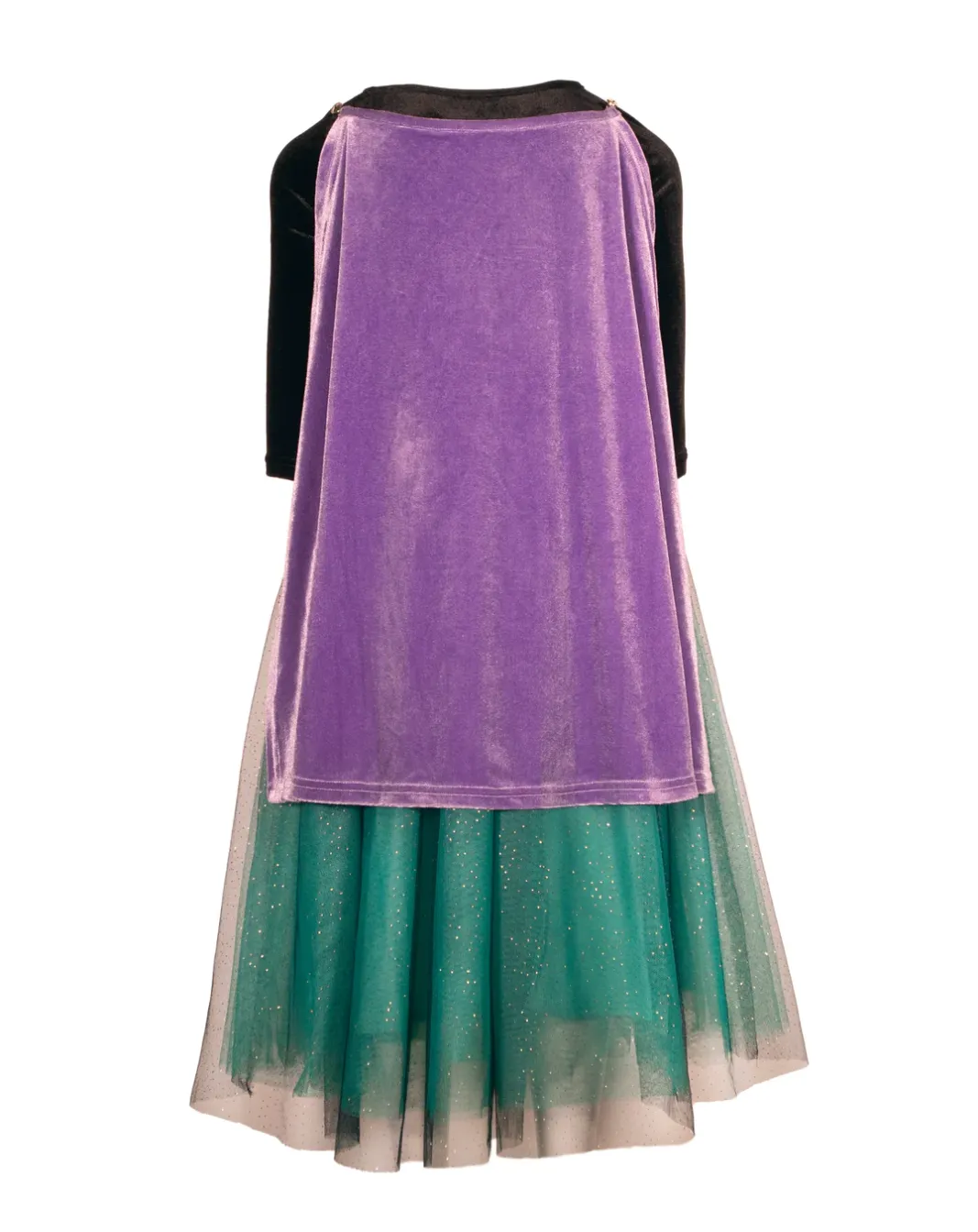 Winter Princess Costume Dress
